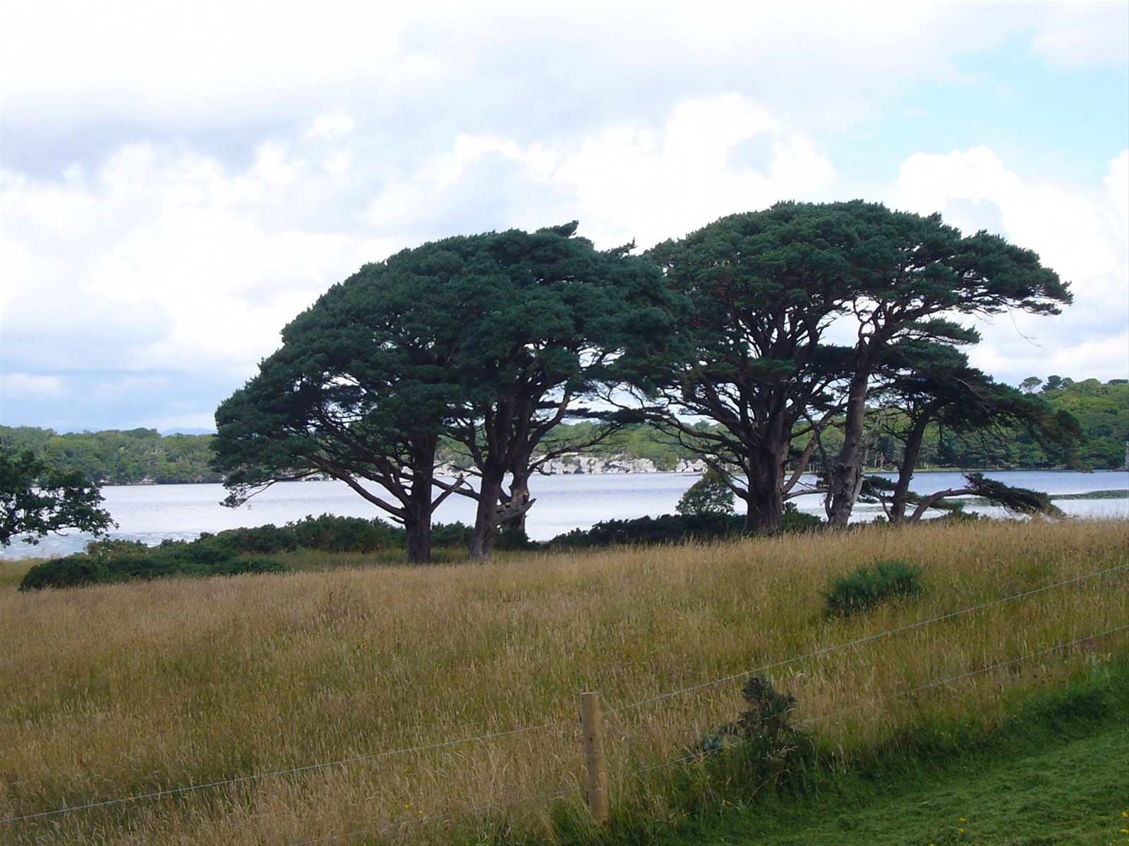 Foto di viaggio in IRLANDA