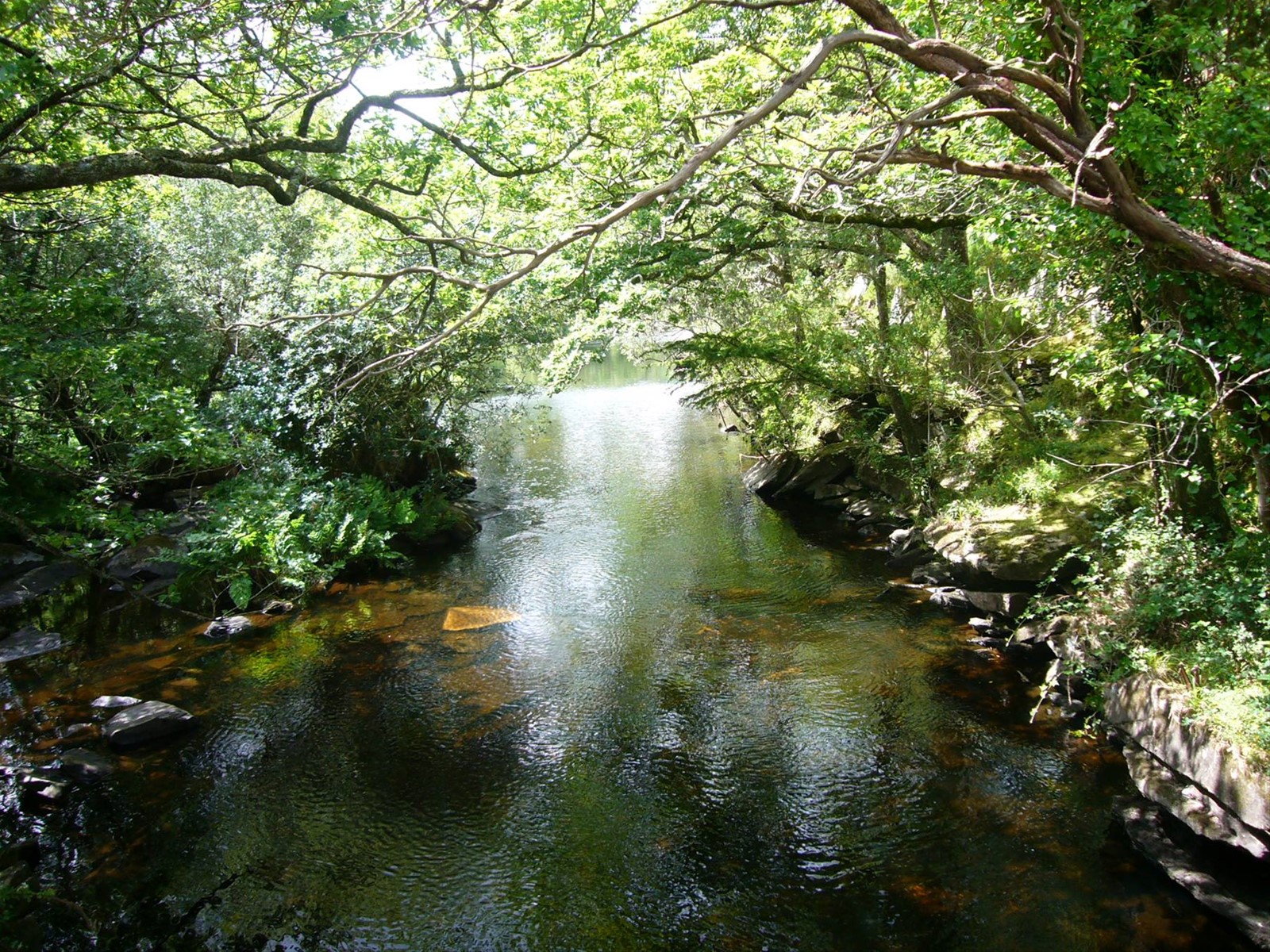 Foto di viaggio in IRLANDA