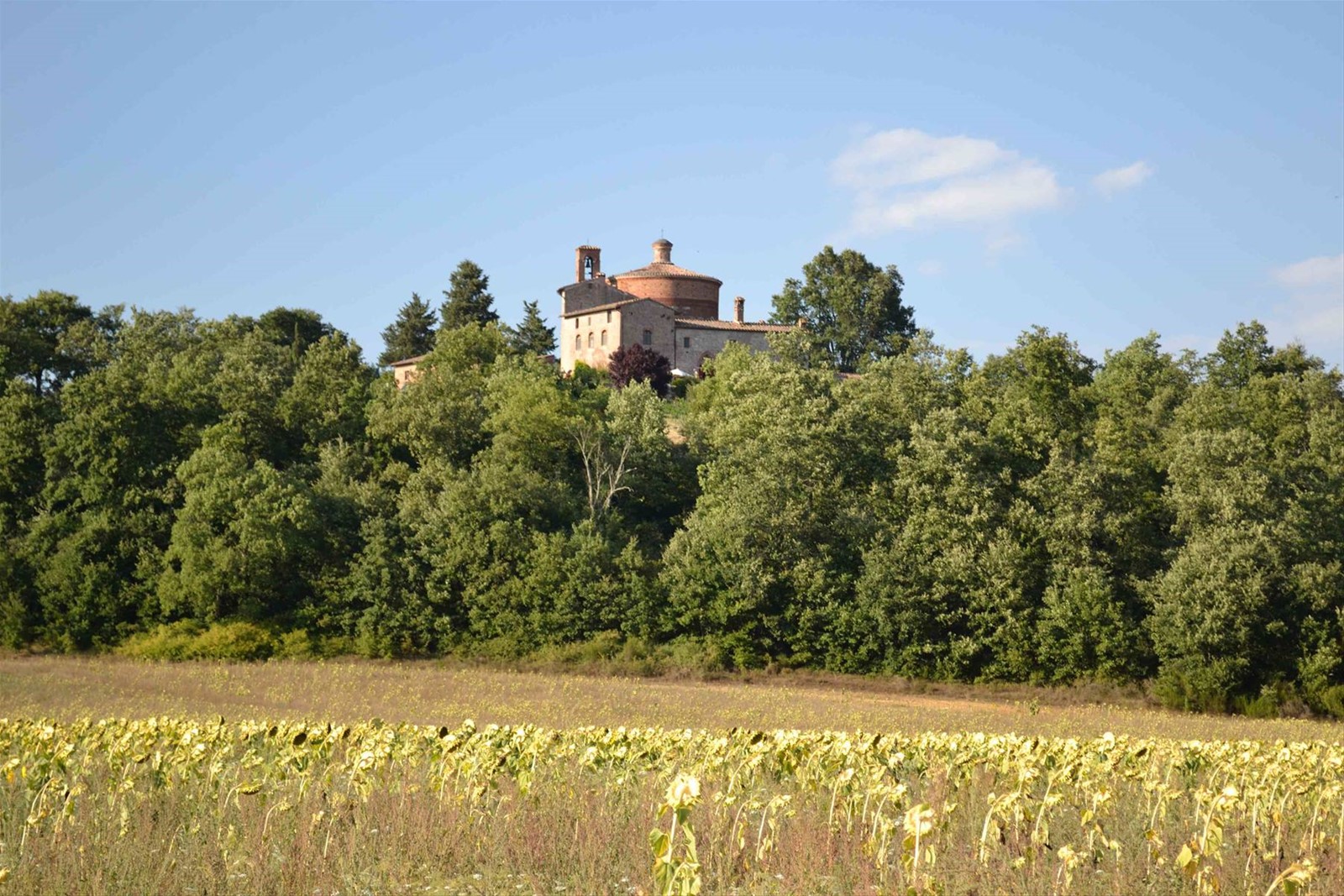 La Cappella di San Galgano a Montesiepi