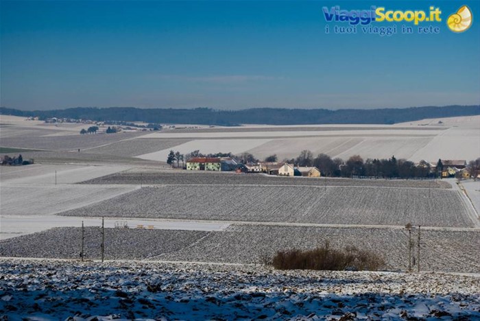 La campagna di Neulengbach