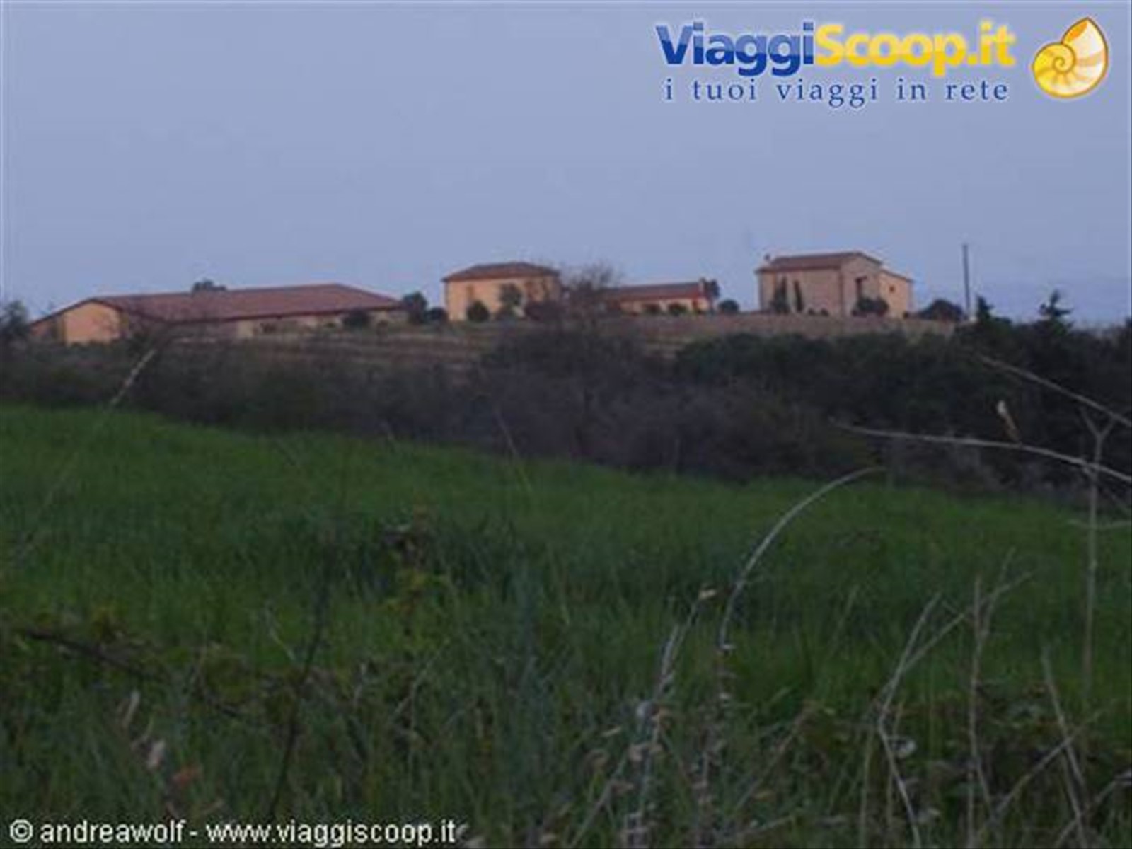 Consorzio Cariplo (Trequanda)