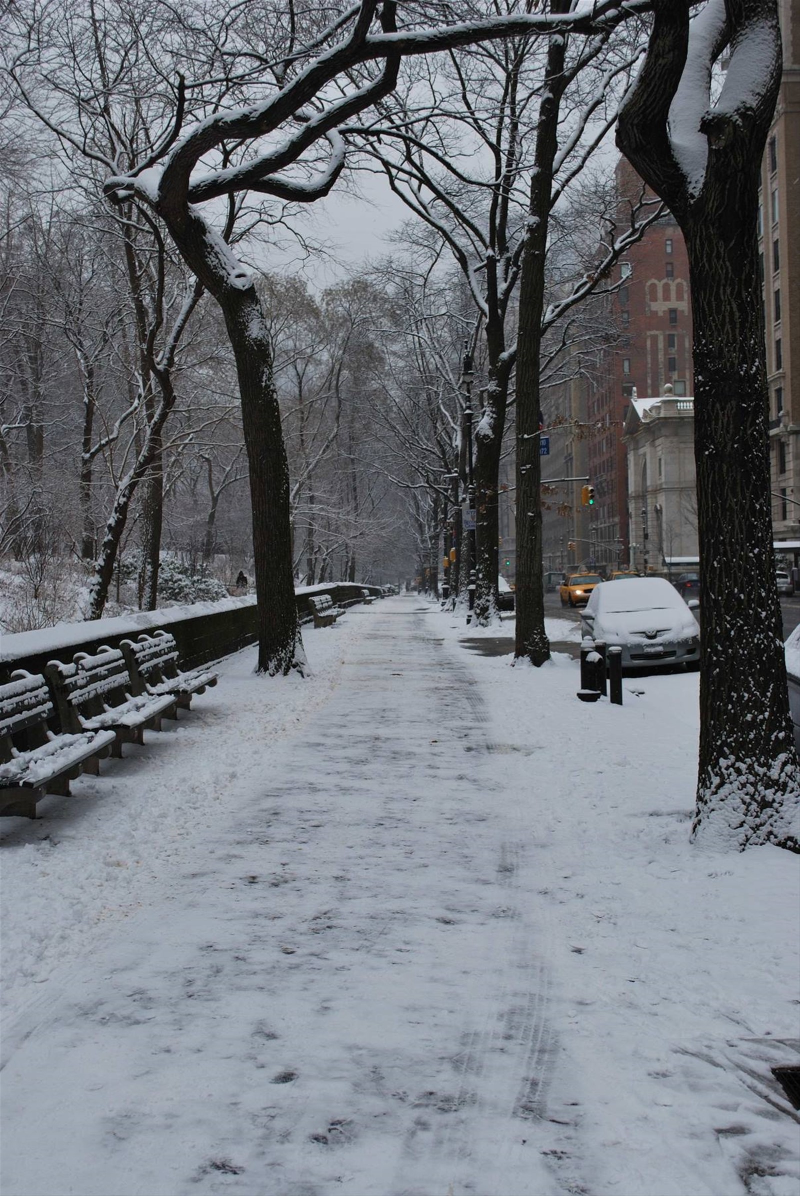 Central Park sotto la neve