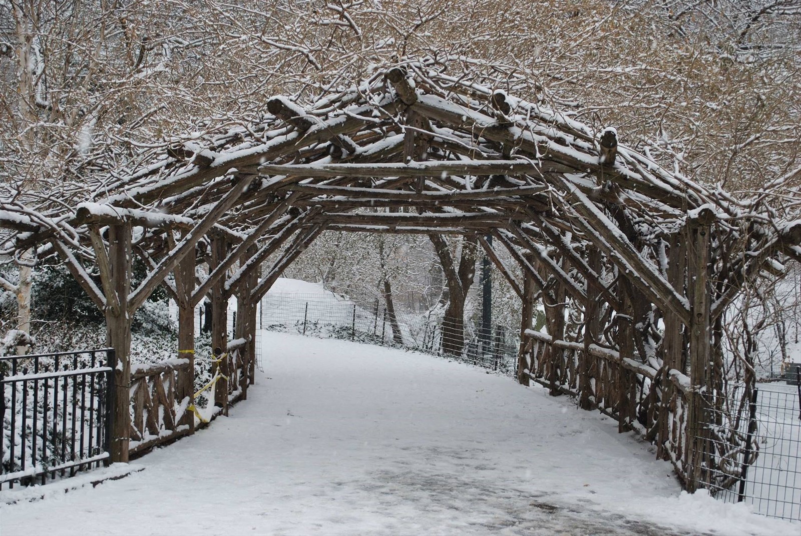 Central Park sotto la neve