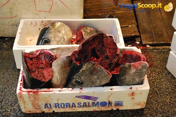 Mercato del pesce di Tokyo