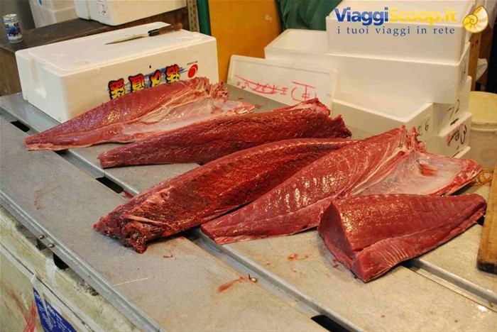 Mercato del pesce di Tokyo