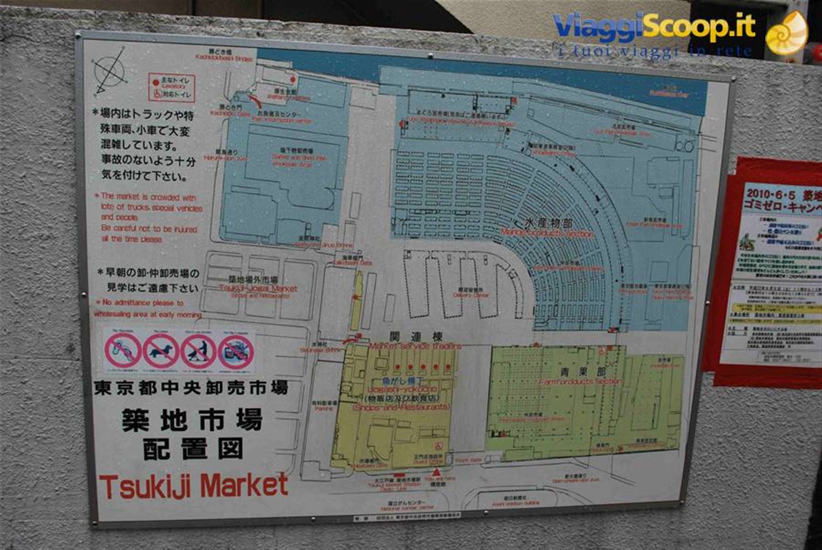 Mercato del pesce di Tokyo