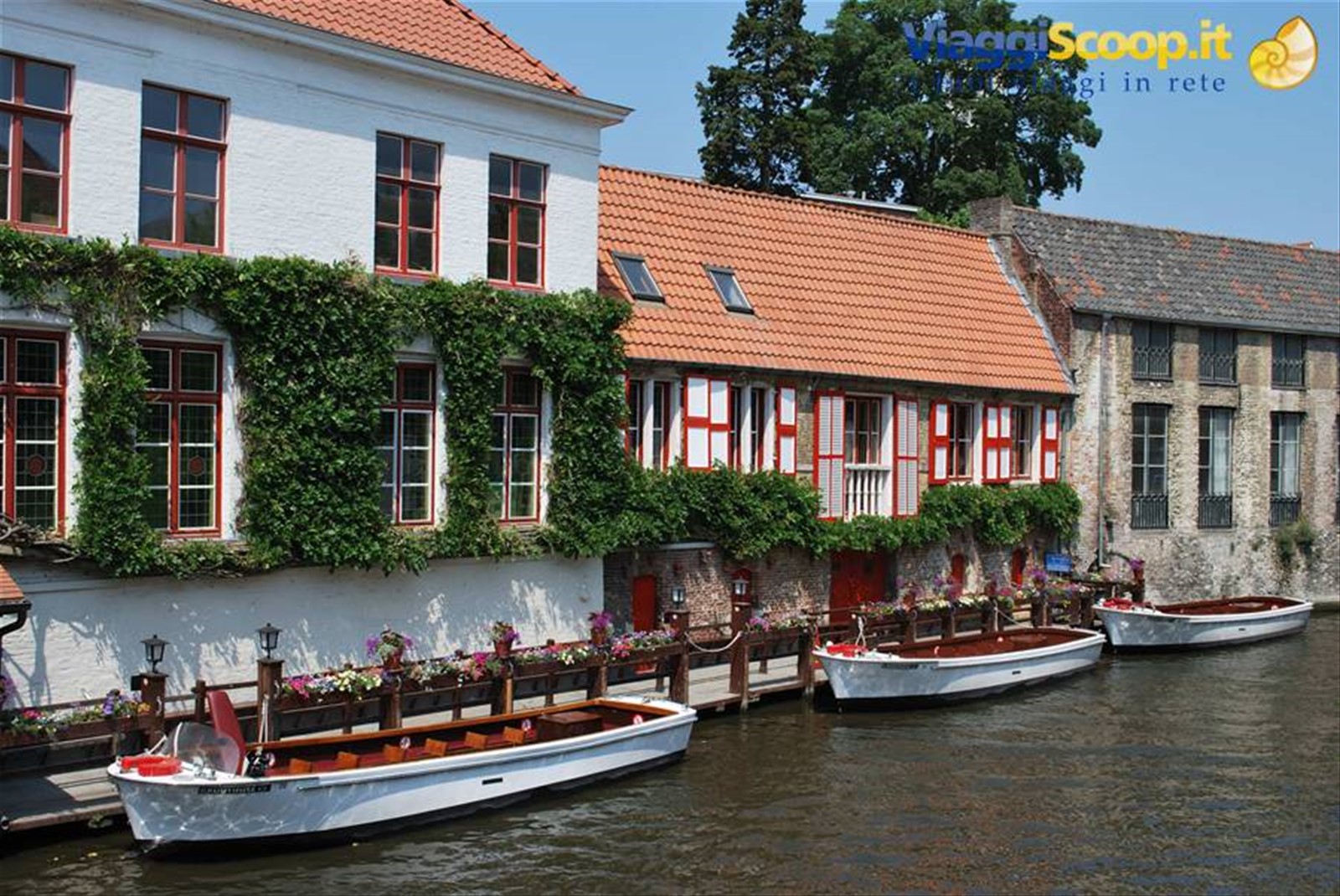 Foto di viaggio in BELGIO