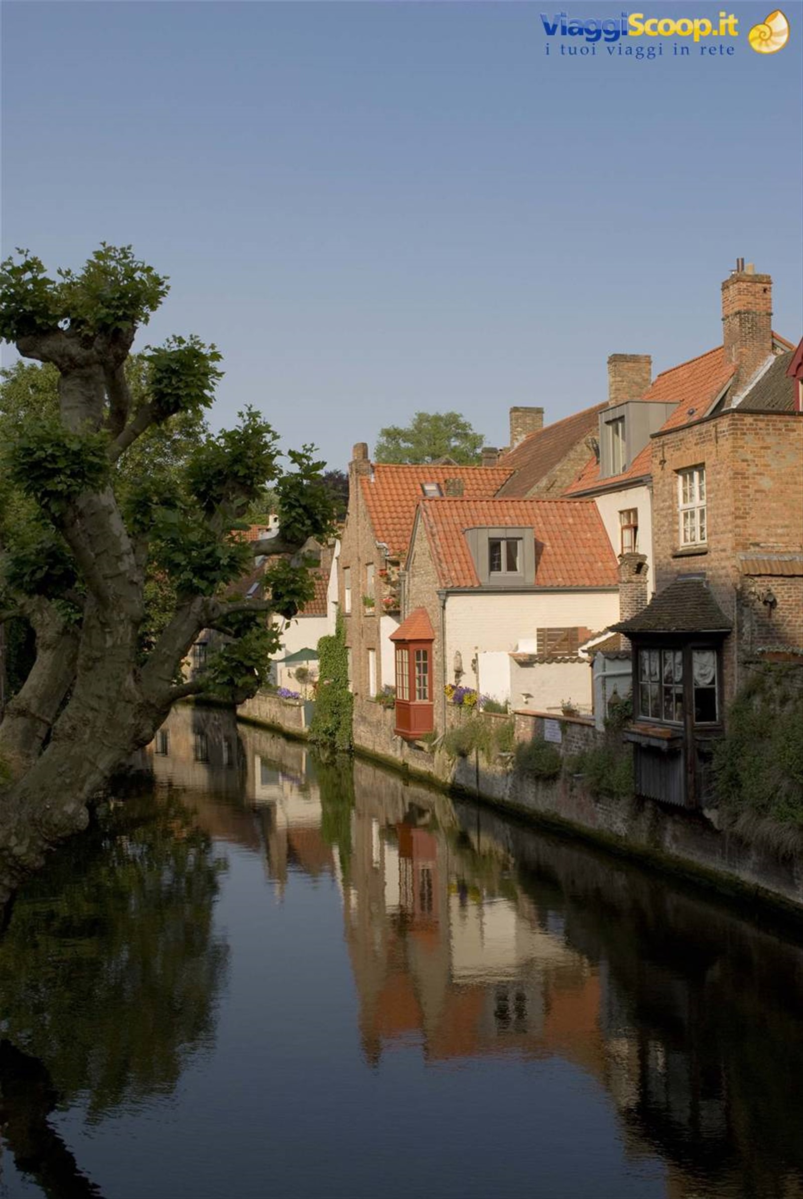 Foto di viaggio in BELGIO