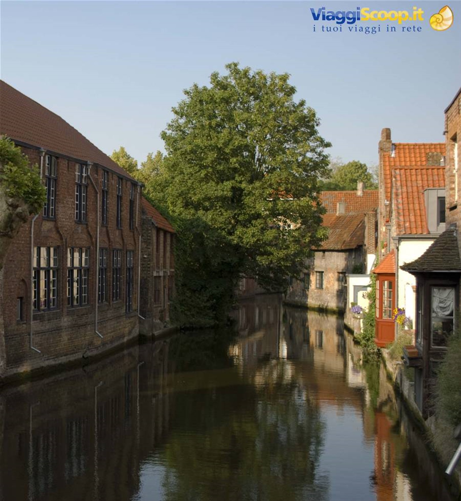 Foto di viaggio in BELGIO