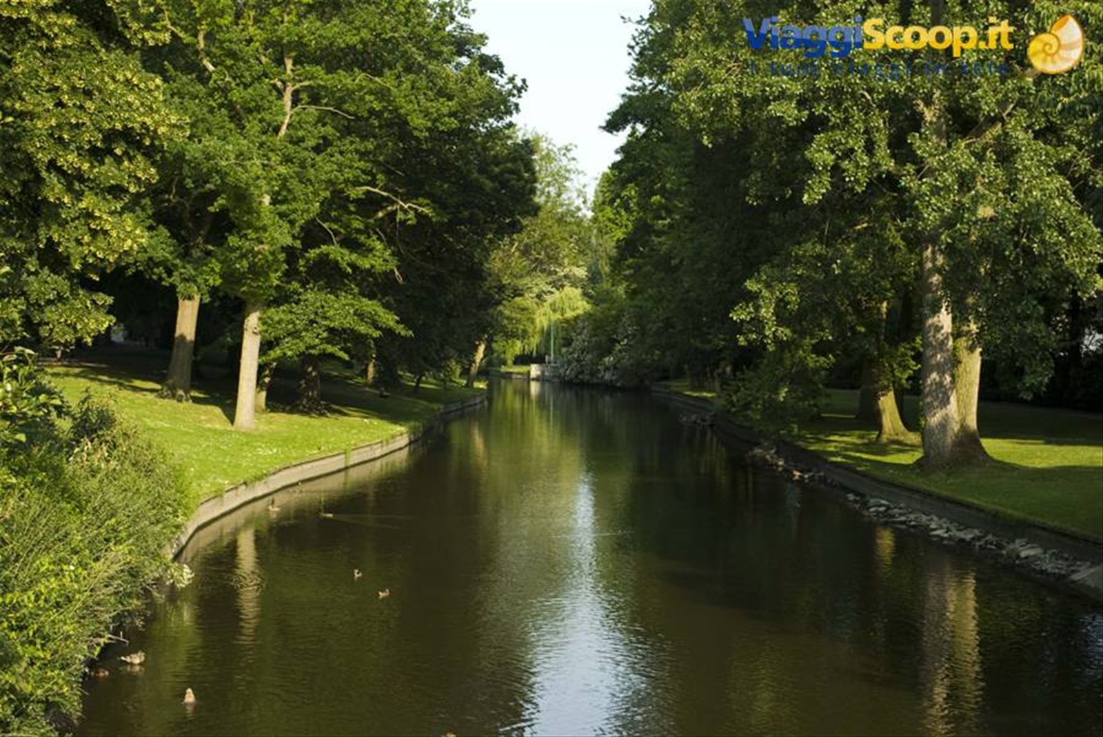 Foto di viaggio in BELGIO