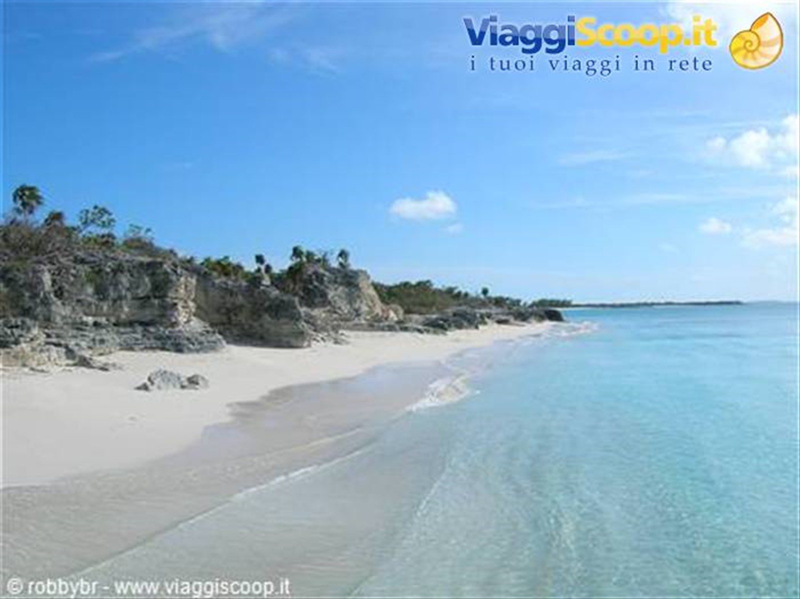 Water Cay (isola delle Iguane)