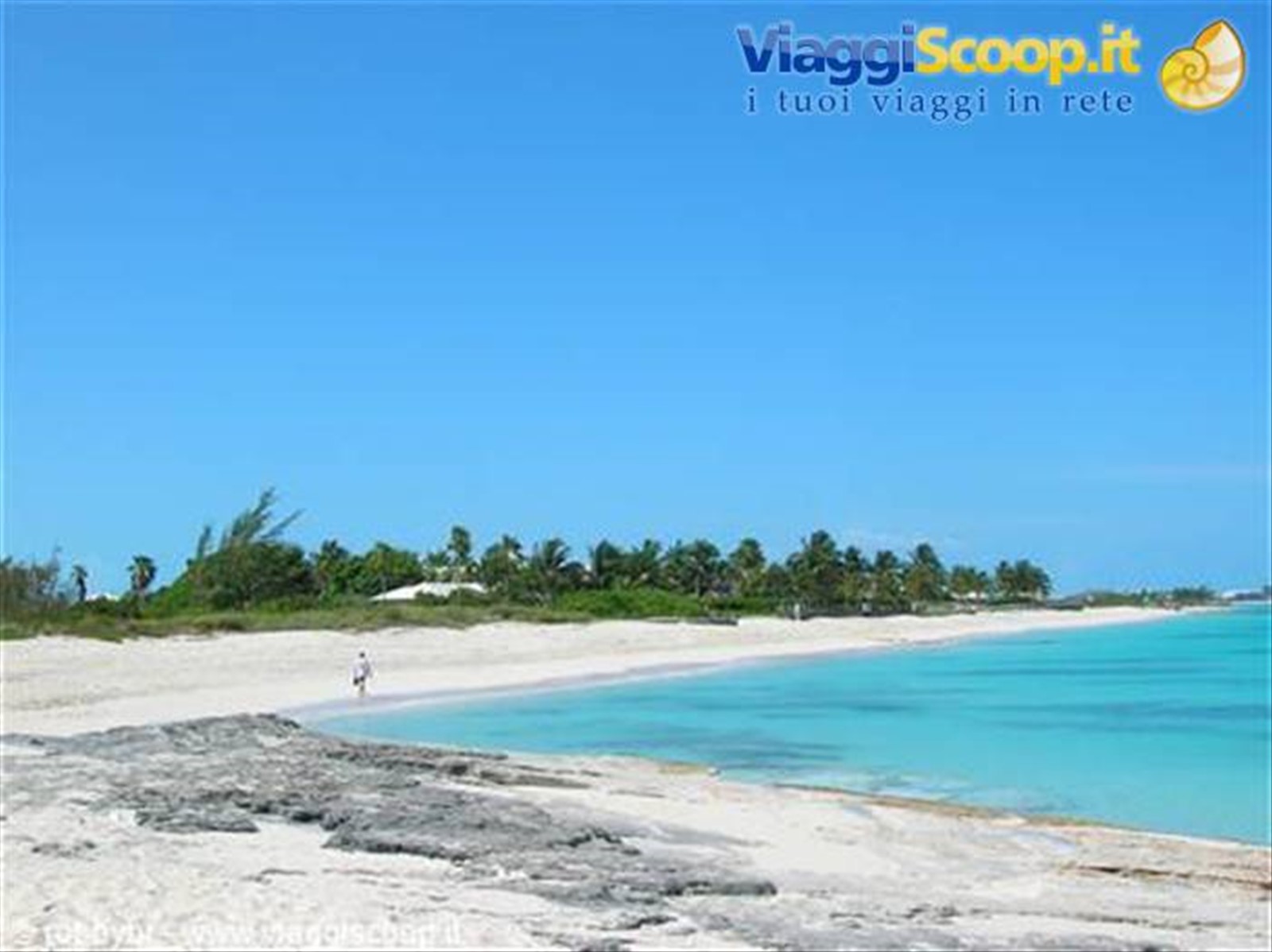 Pelican Point