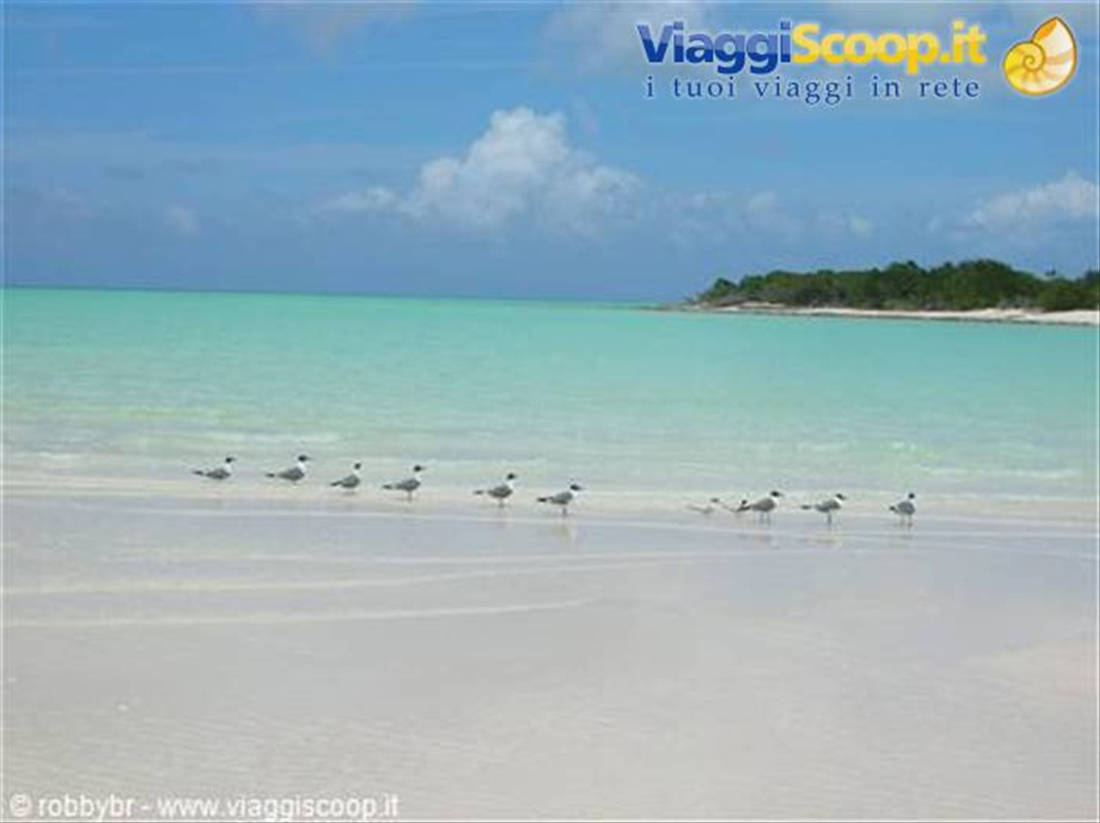 Mujadin Beach