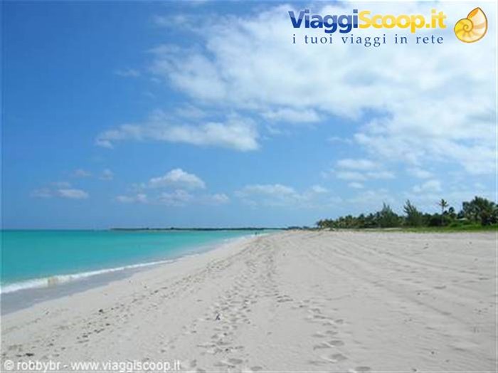 Pelican Point