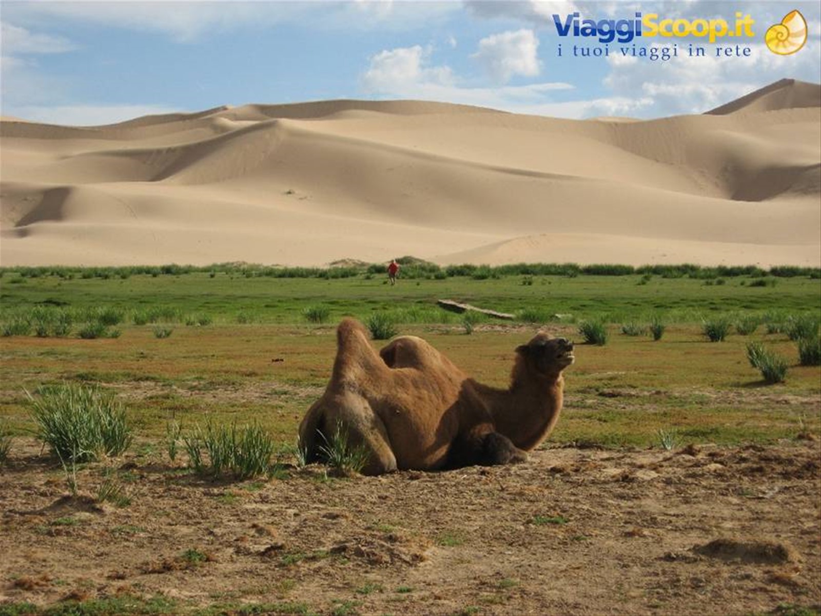 Deserto del Gobi-Dune di Khongoryn Els