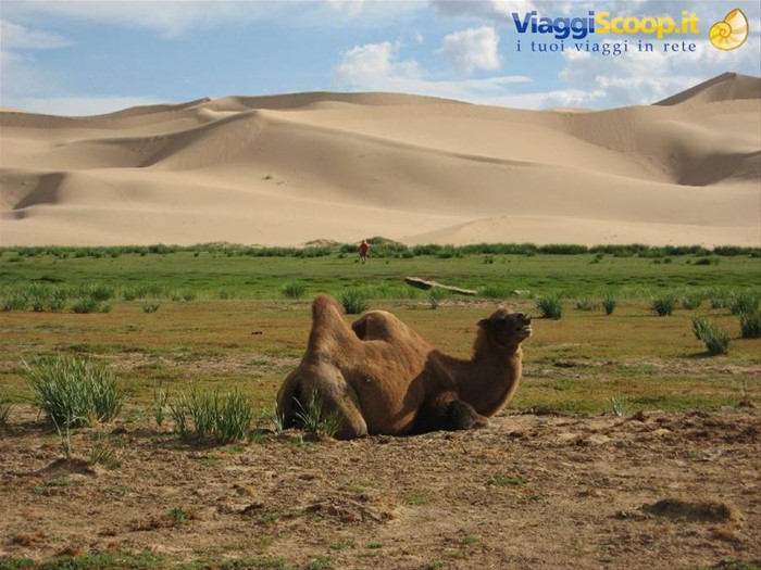 Deserto del Gobi-Dune di Khongoryn Els