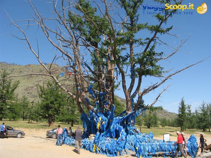 Albero sacro di Zuun Salaa Mod