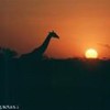 foto viaggio NAMIBIA