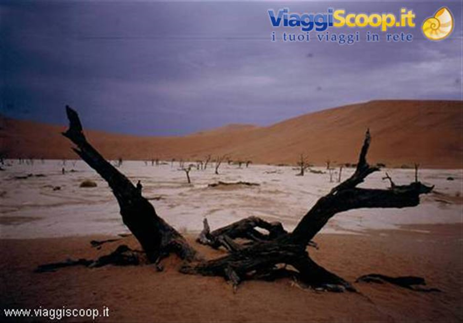Deadvlei