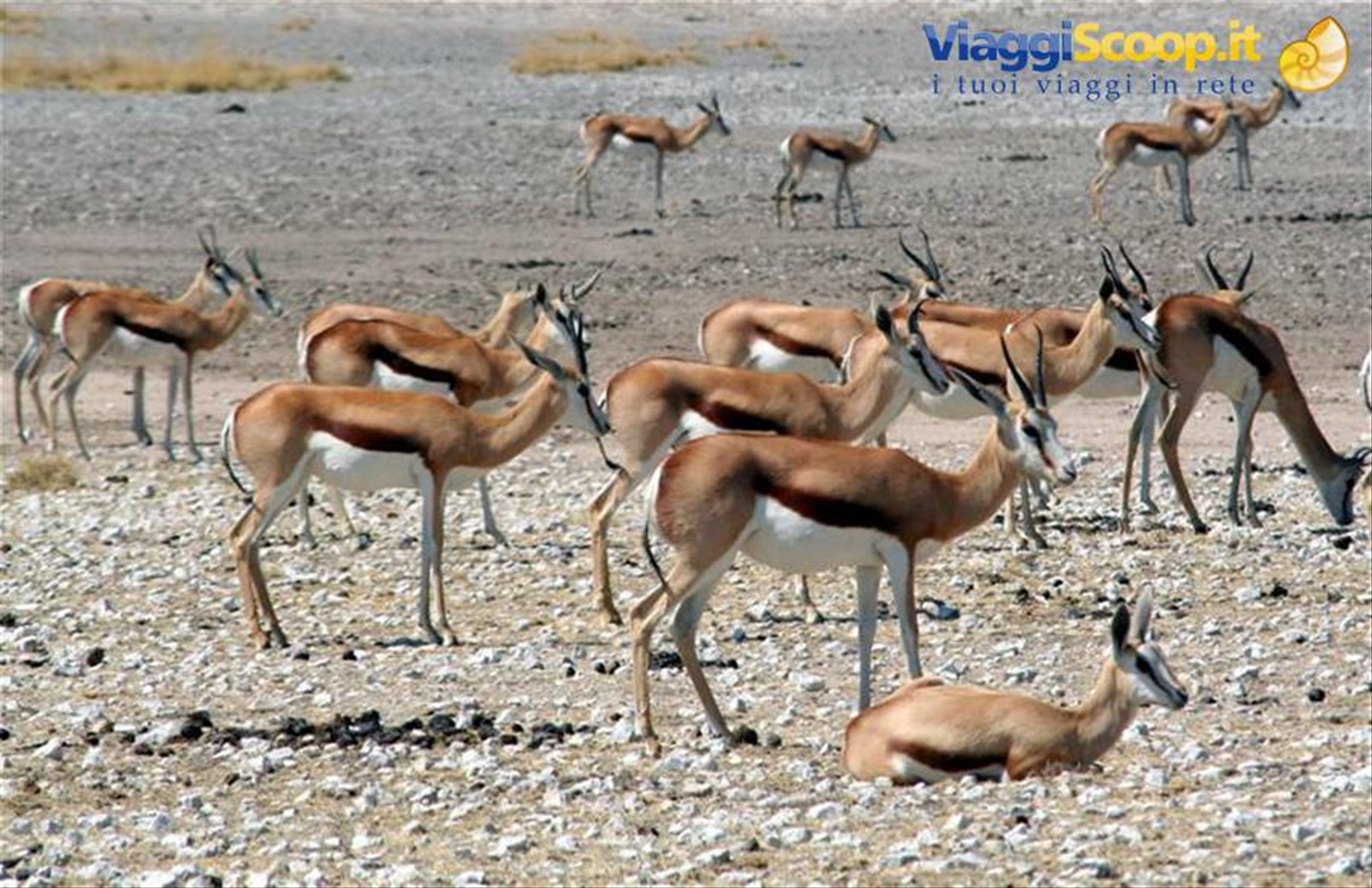 Foto di viaggio in NAMIBIA