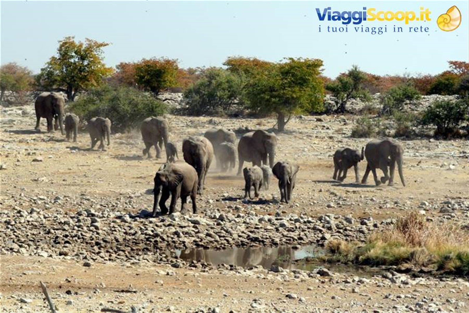 Foto di viaggio in NAMIBIA