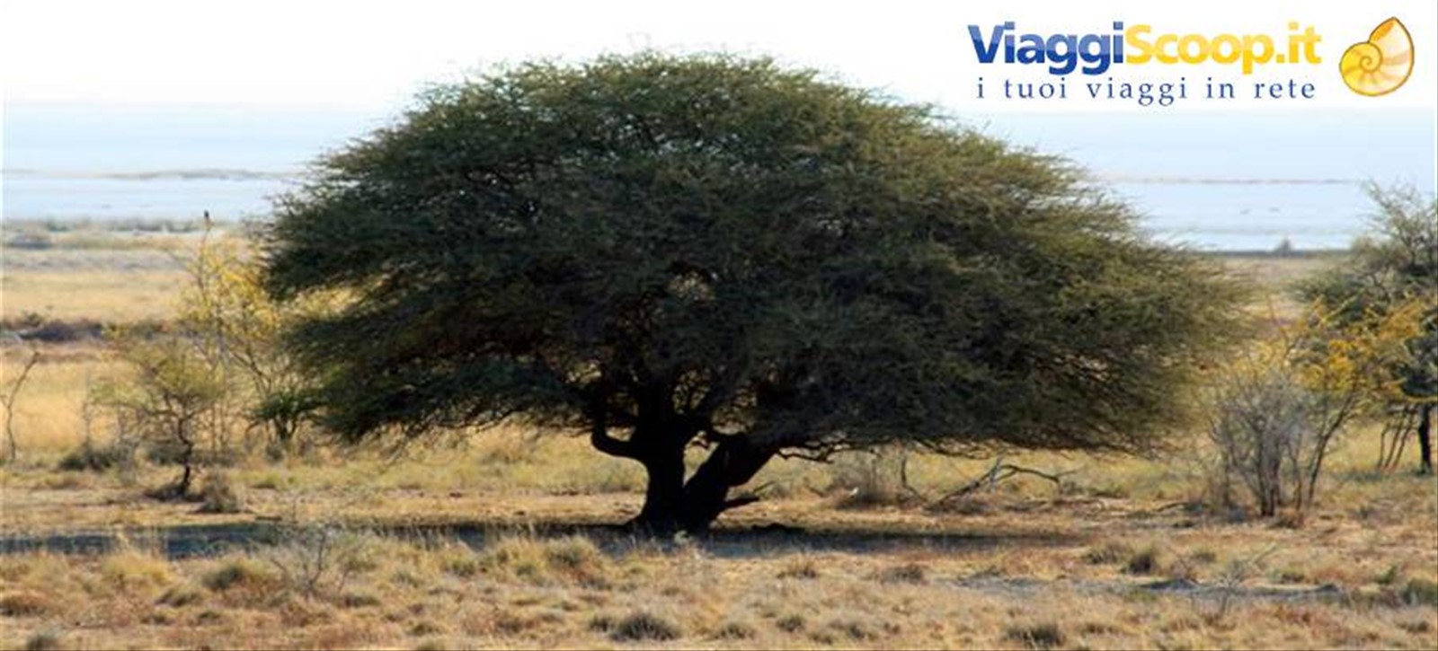 Foto di viaggio in NAMIBIA