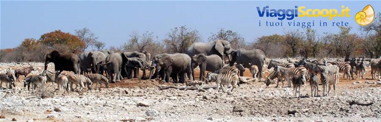 Foto di viaggio in NAMIBIA