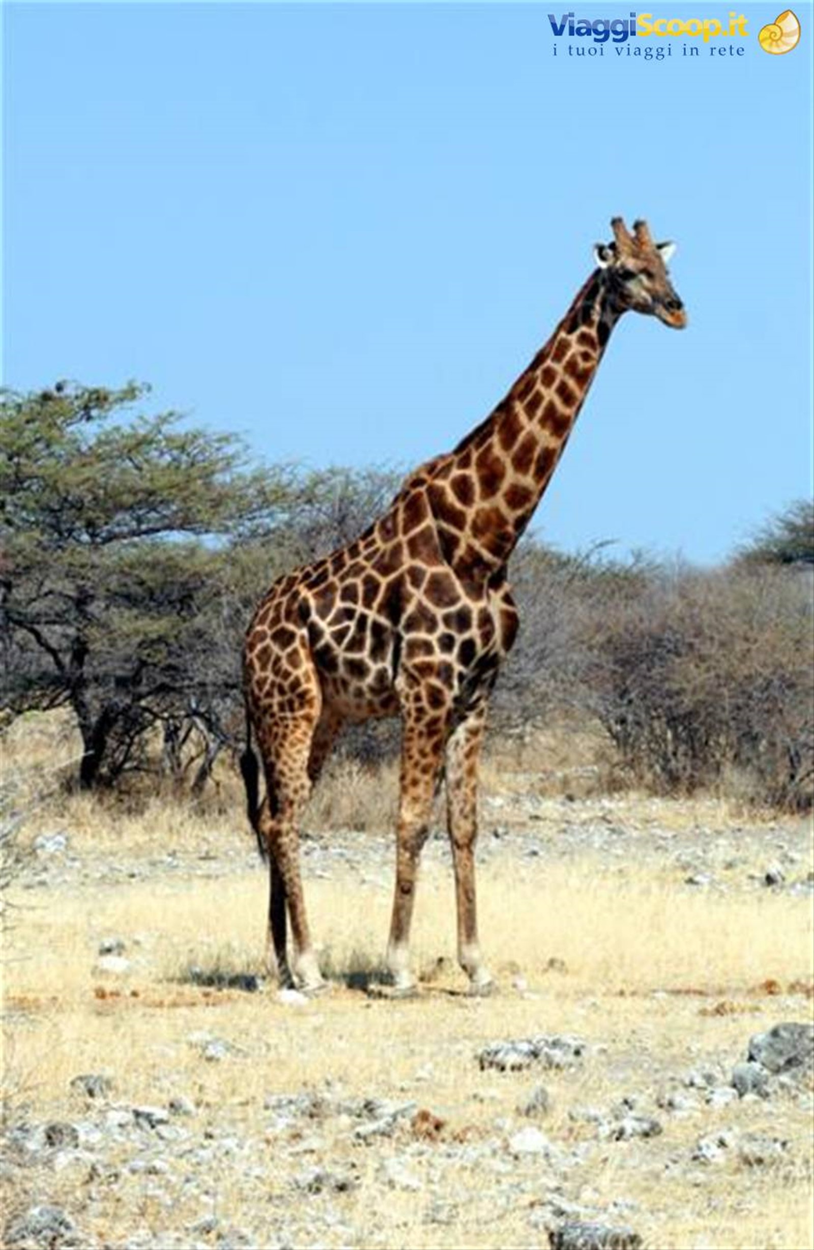 Foto di viaggio in NAMIBIA