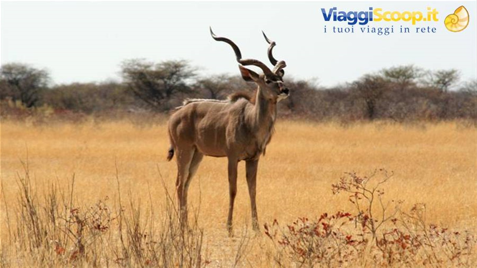 Foto di viaggio in NAMIBIA