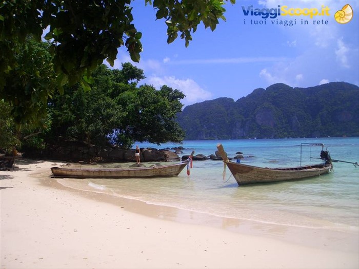 phi phi