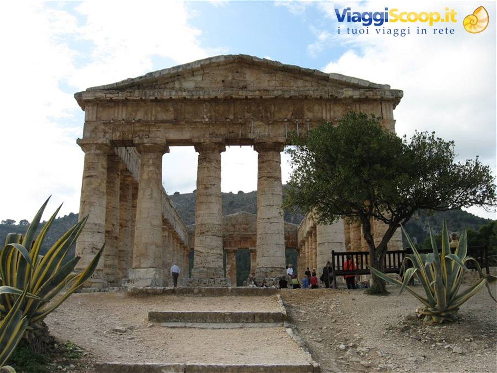 Segesta : il tempio solitario
