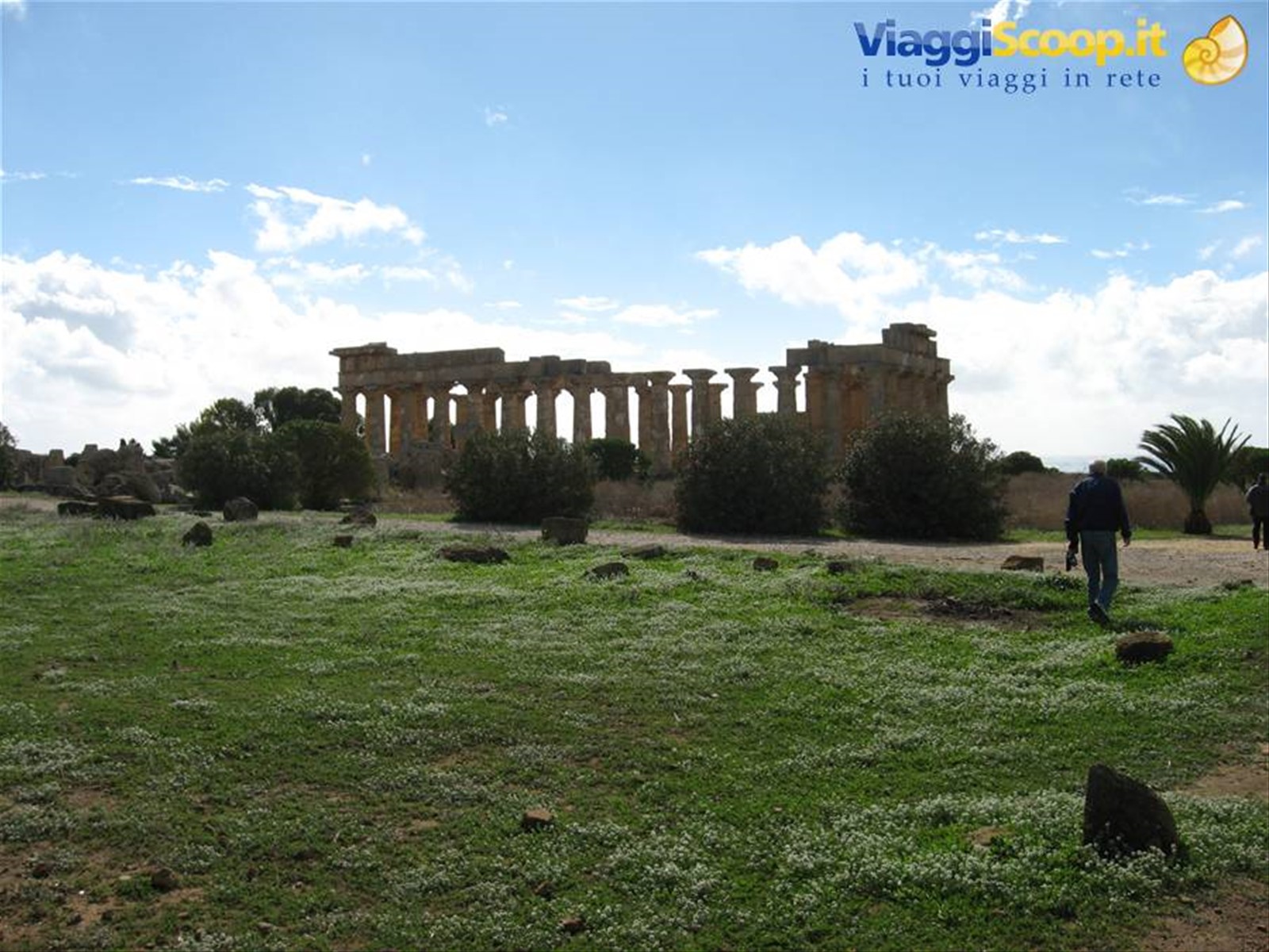 Selinunte : Tempio fra il verde