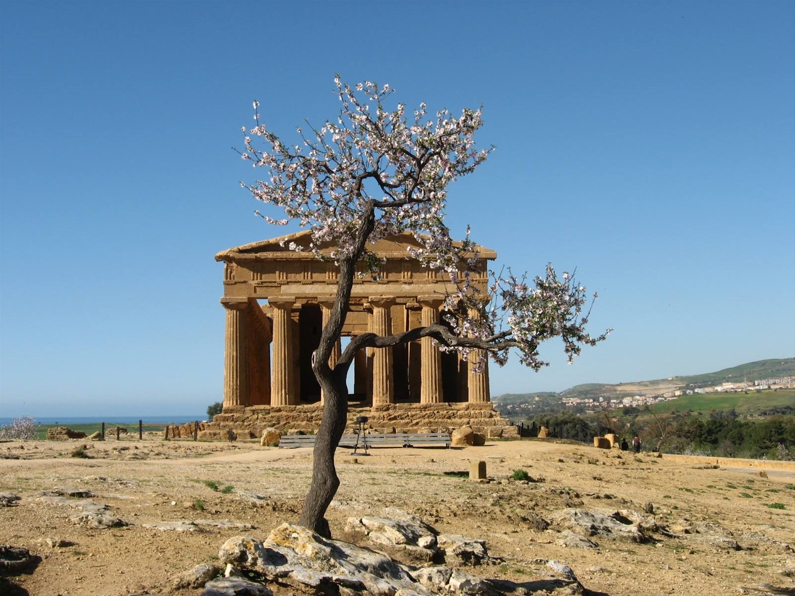 Tempio della Concordia
