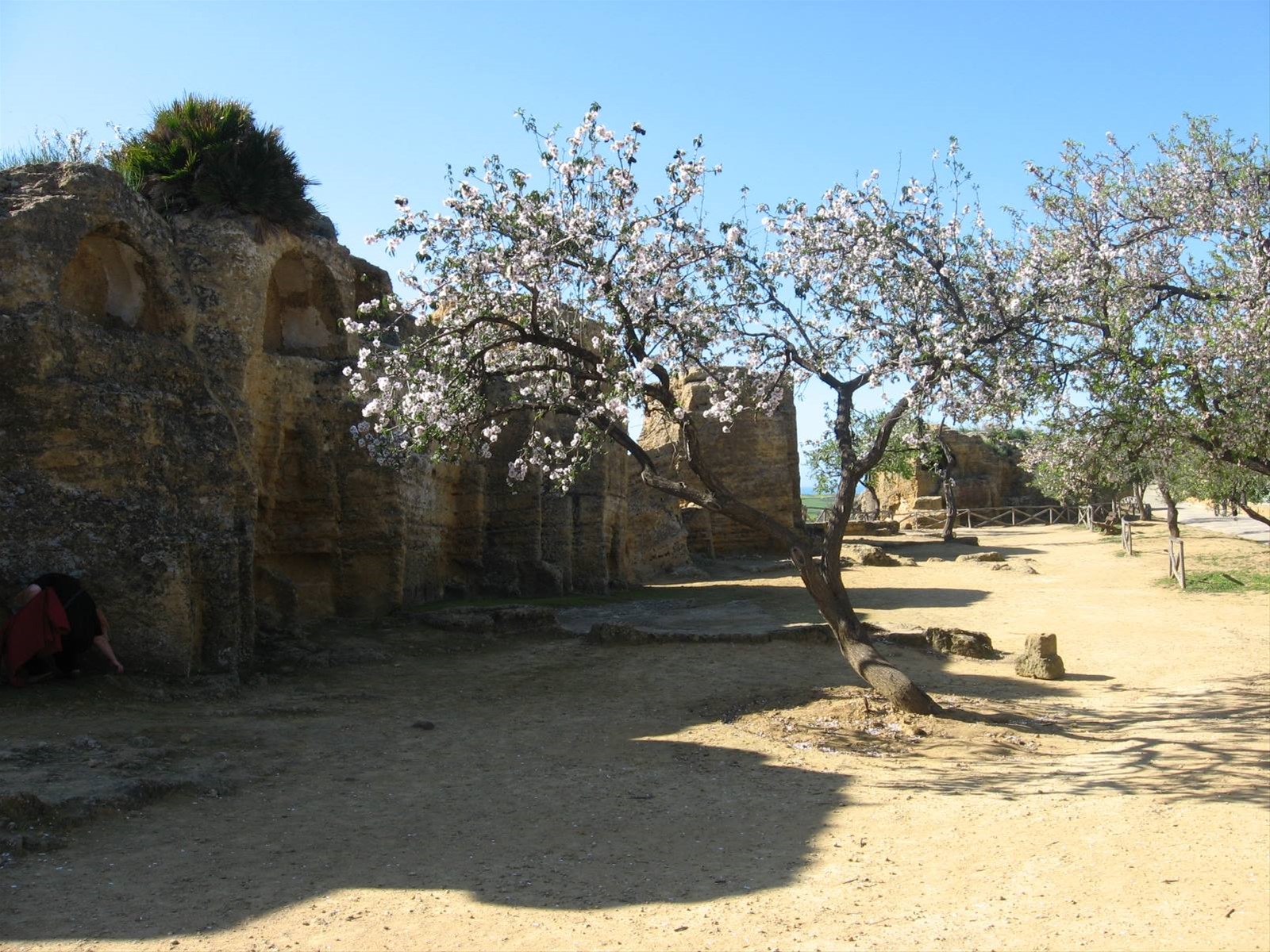 la Necropoli