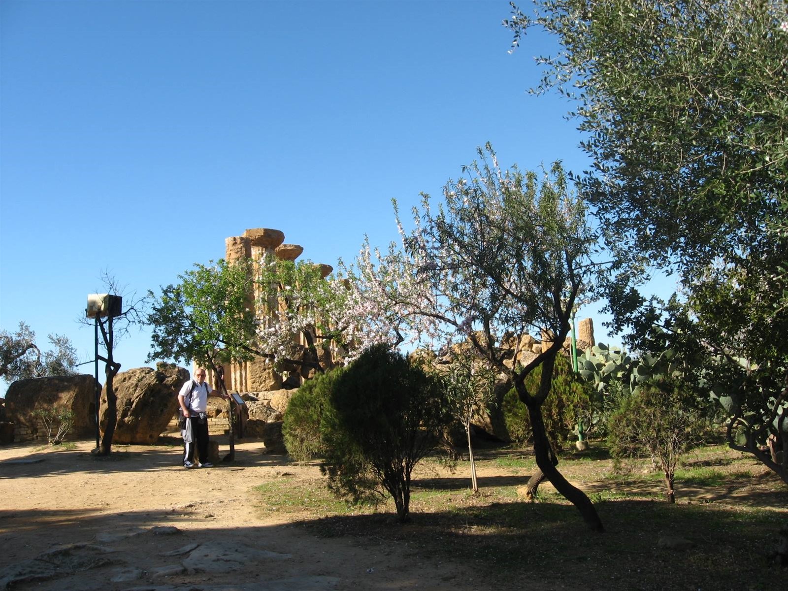 Tempio di Ercole