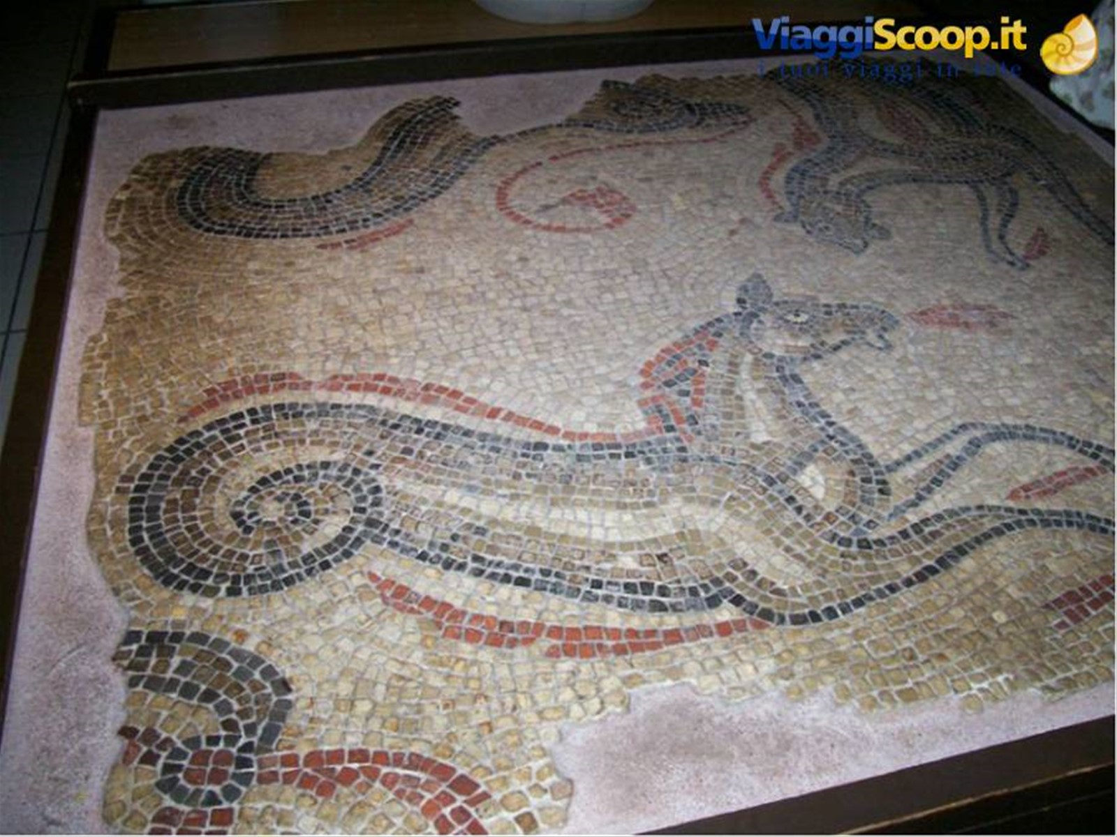 Bath - Terme - reperto archeologico