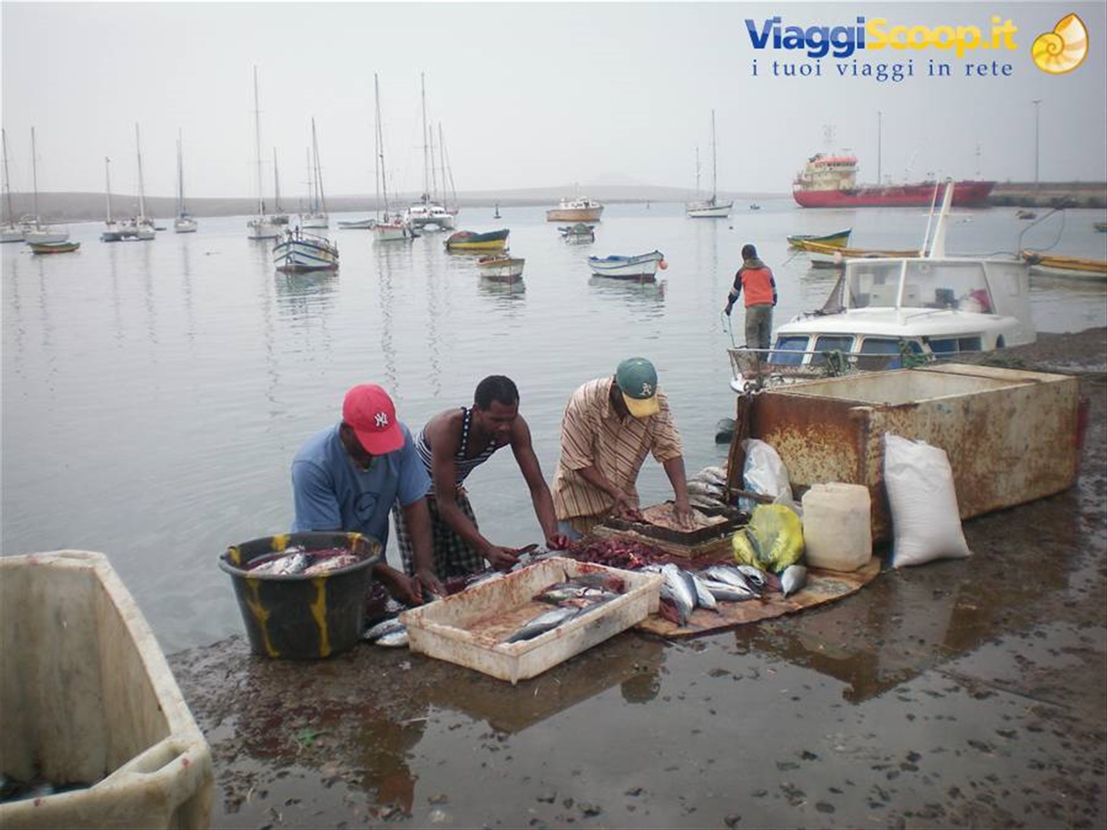PESCATORI A PALMEIRA