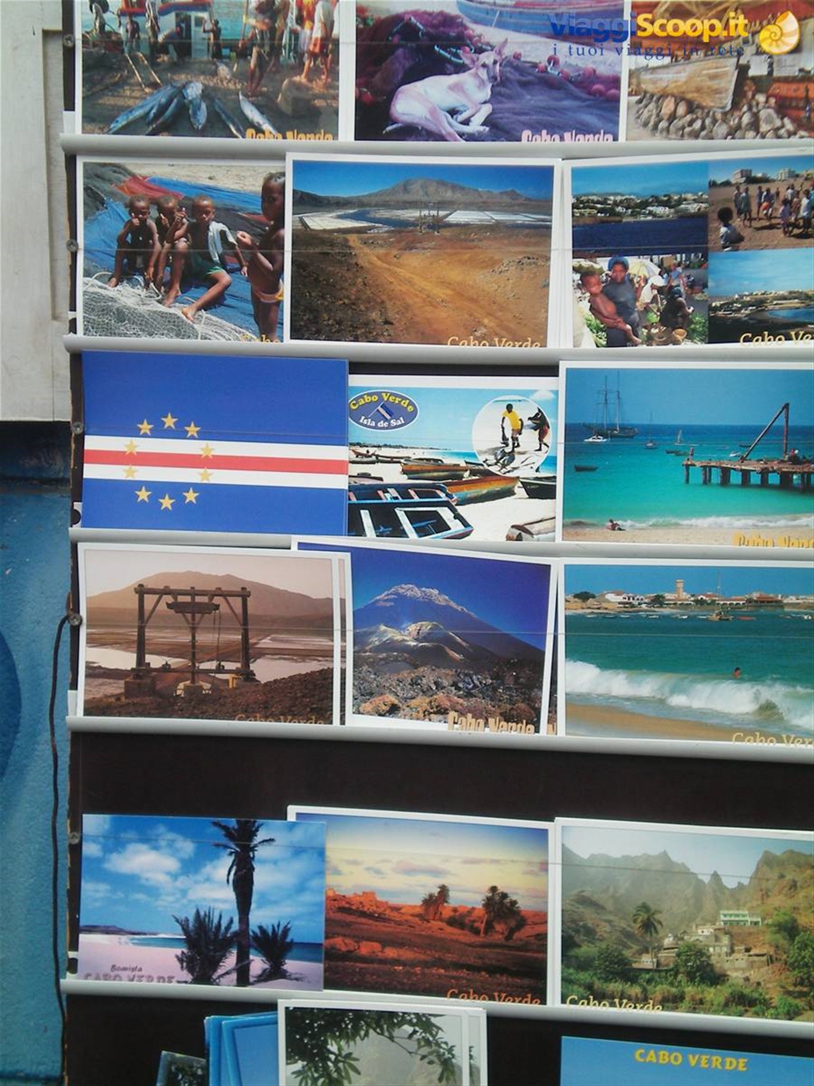 cartoline