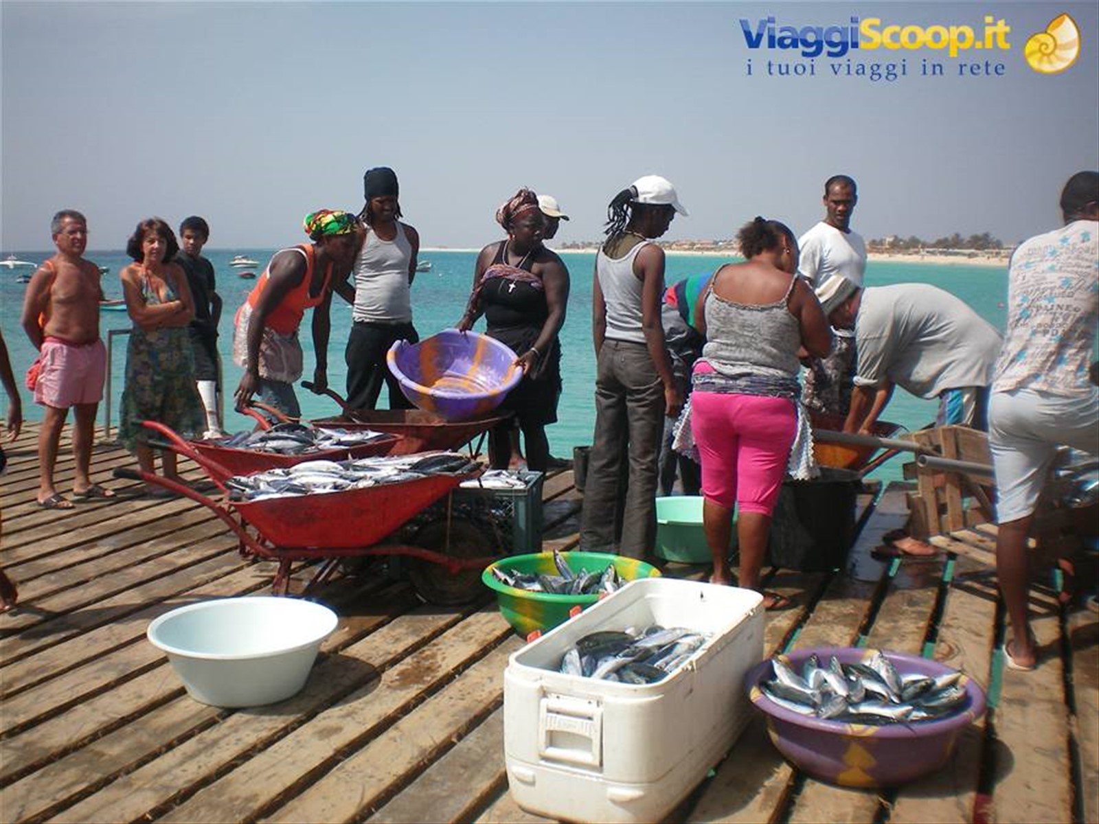 pesce appena arrivato