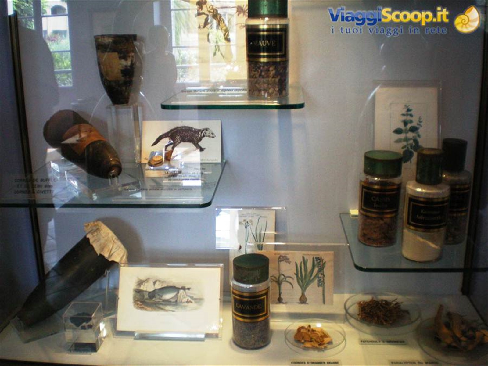 interno museo profumi
