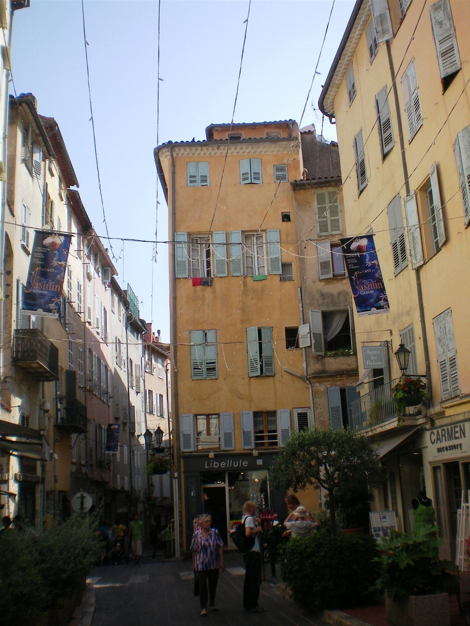 centro grasse