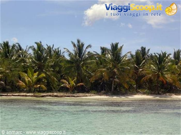 sfondo spiaggia saona