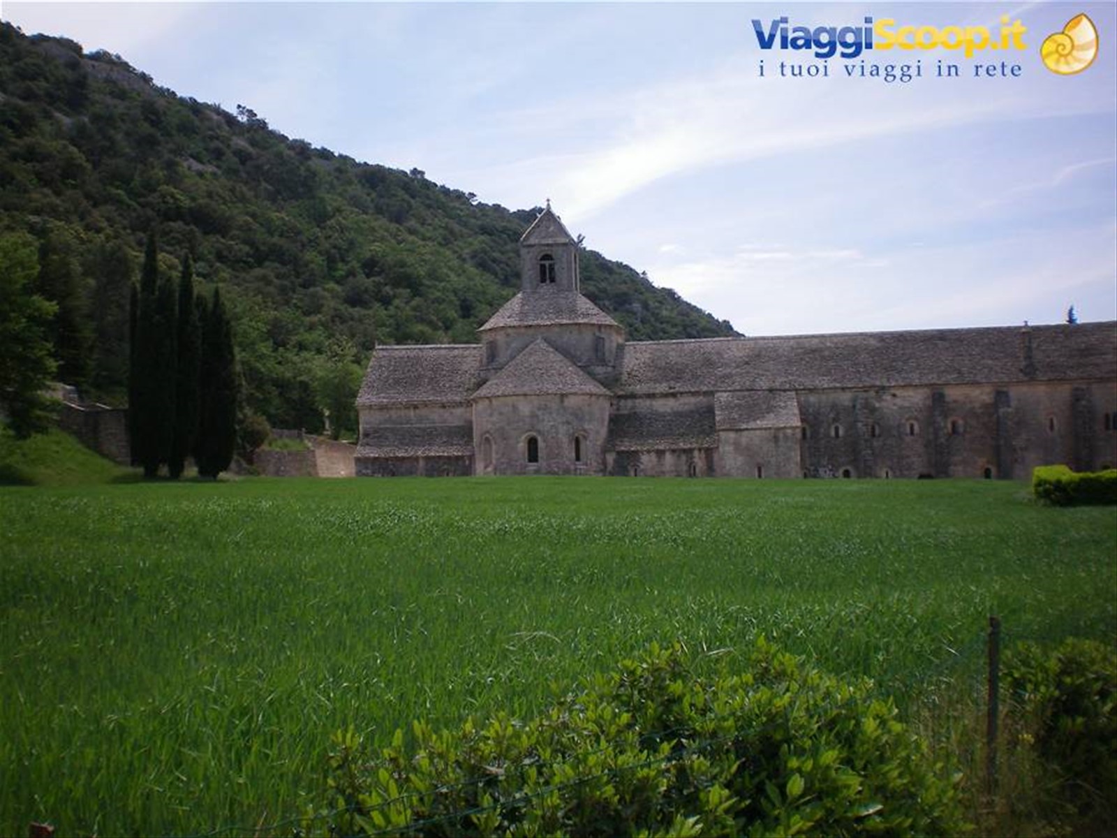 abbazia de senanque