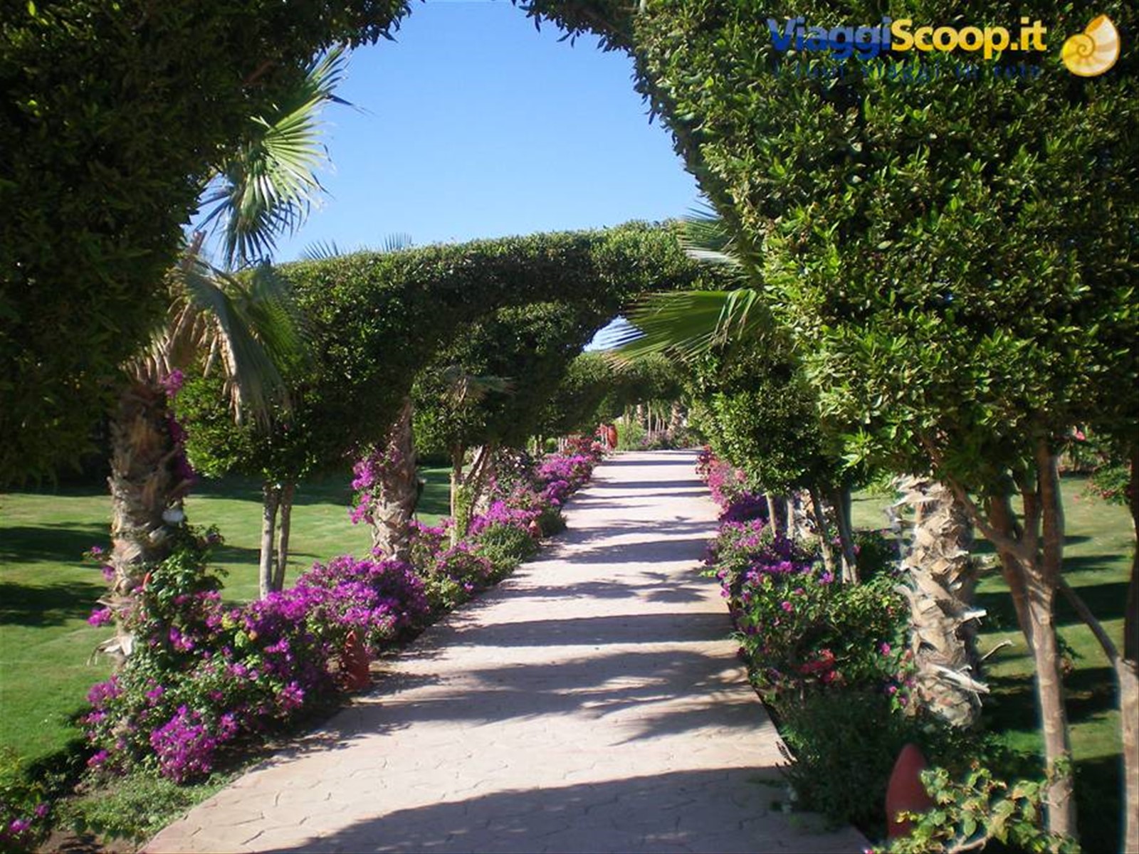 viale fiorito
