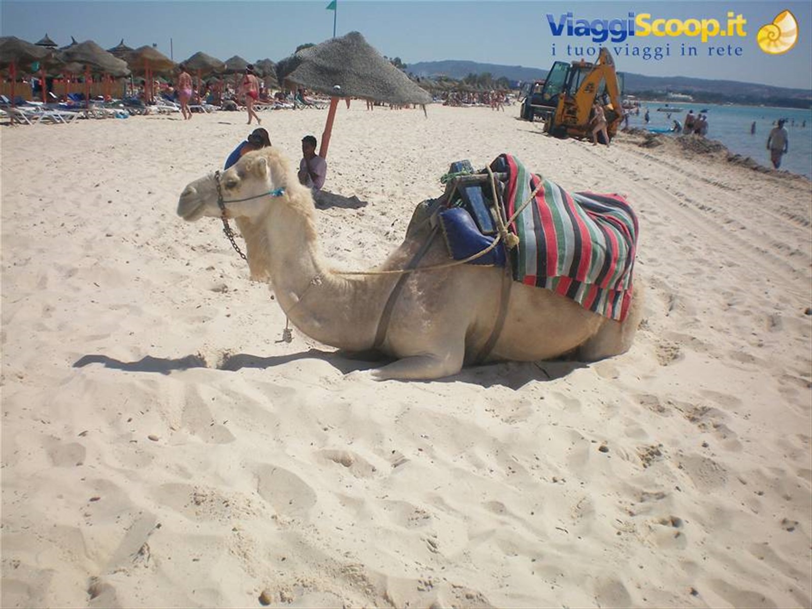 Foto di viaggio in TUNISIA