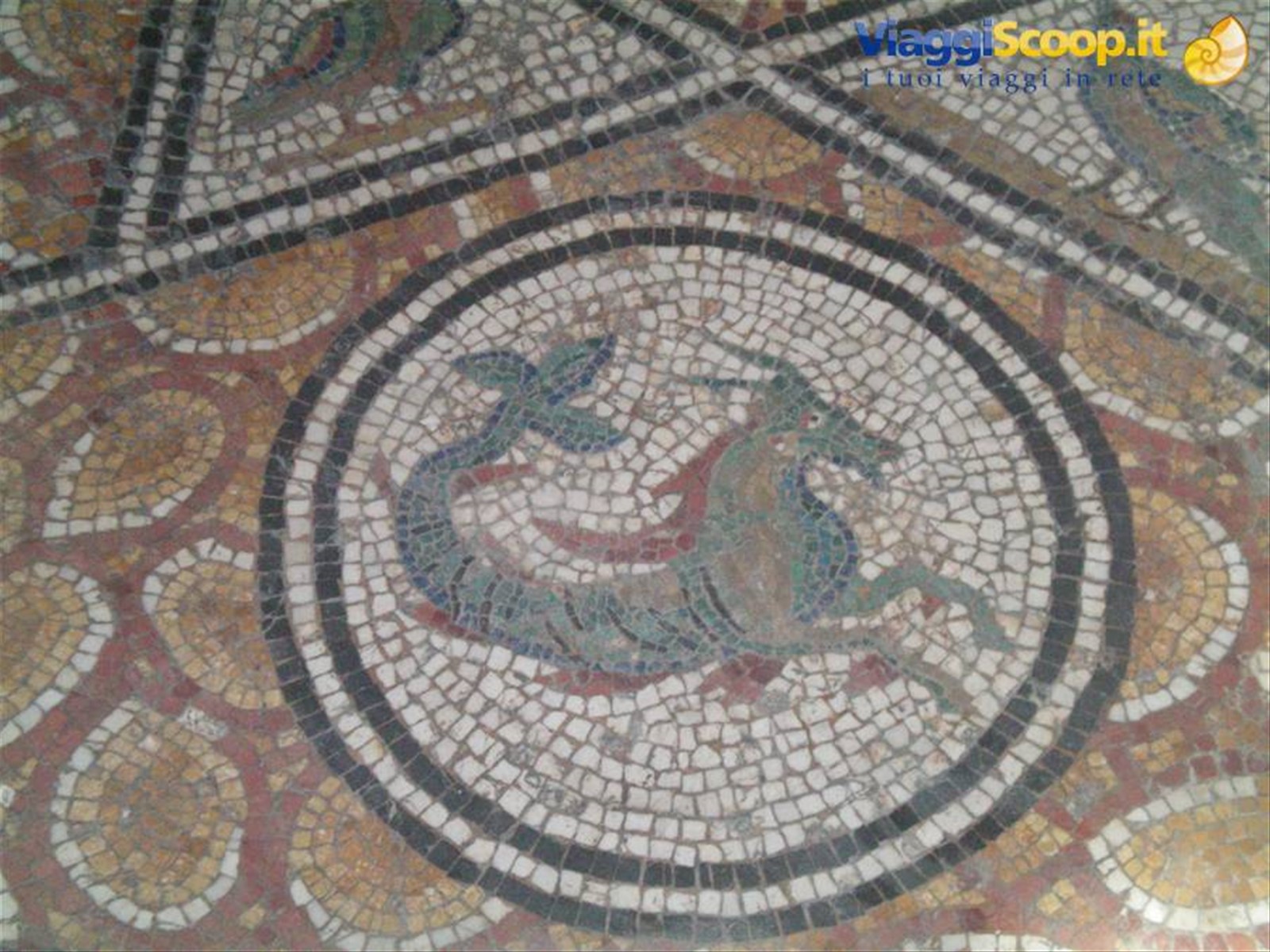 mosaico museo del Bardo