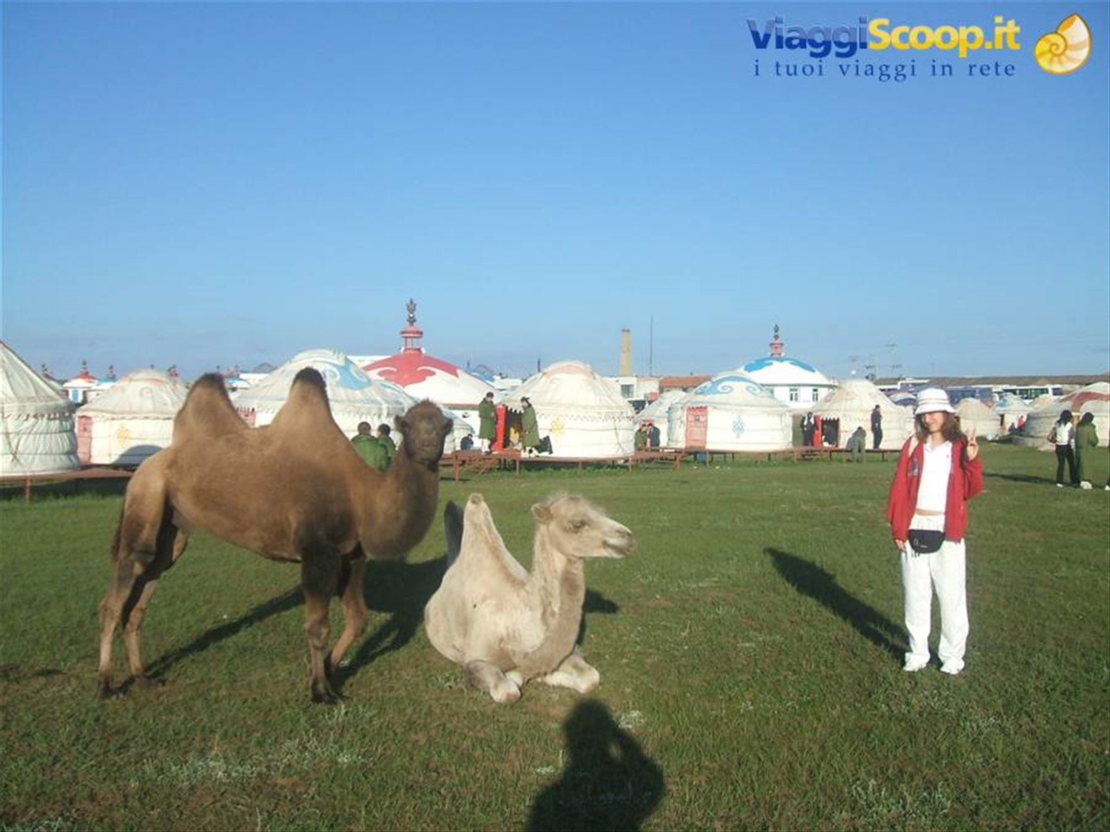 Foto di viaggio in MONGOLIA