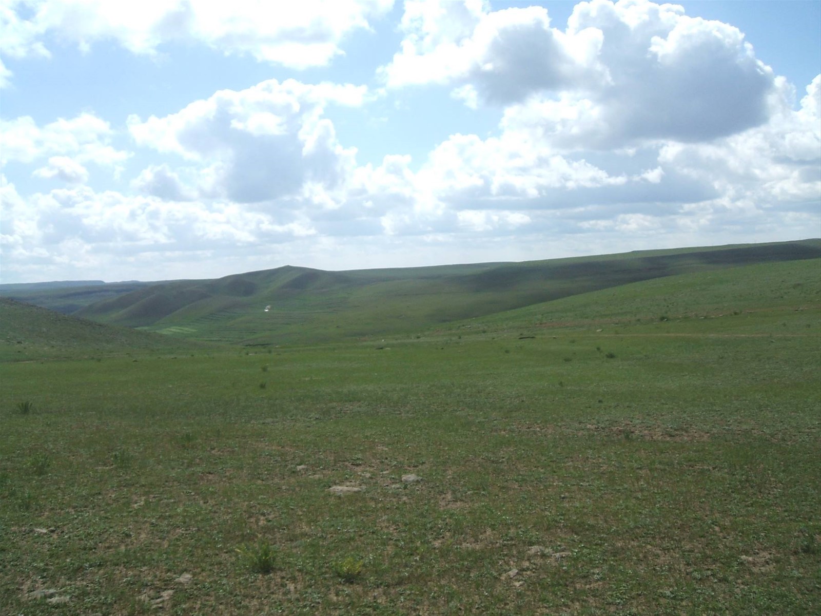 Foto di viaggio in MONGOLIA