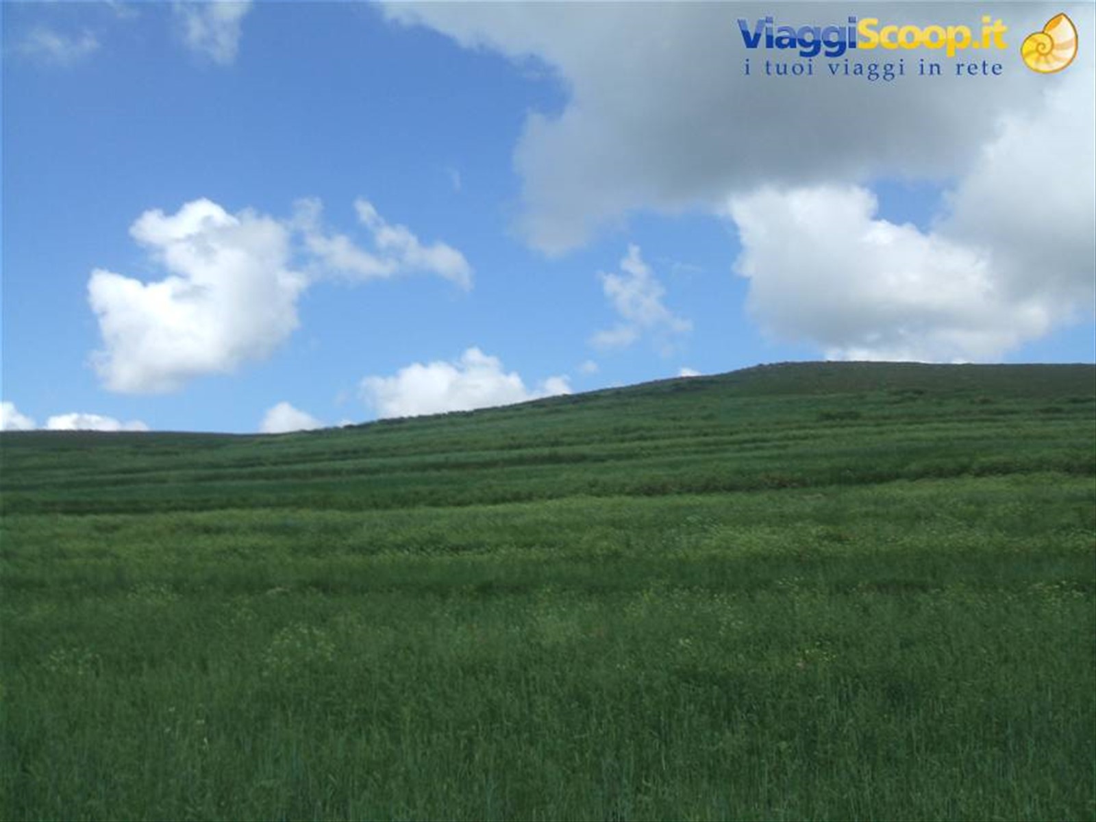 Foto di viaggio in MONGOLIA