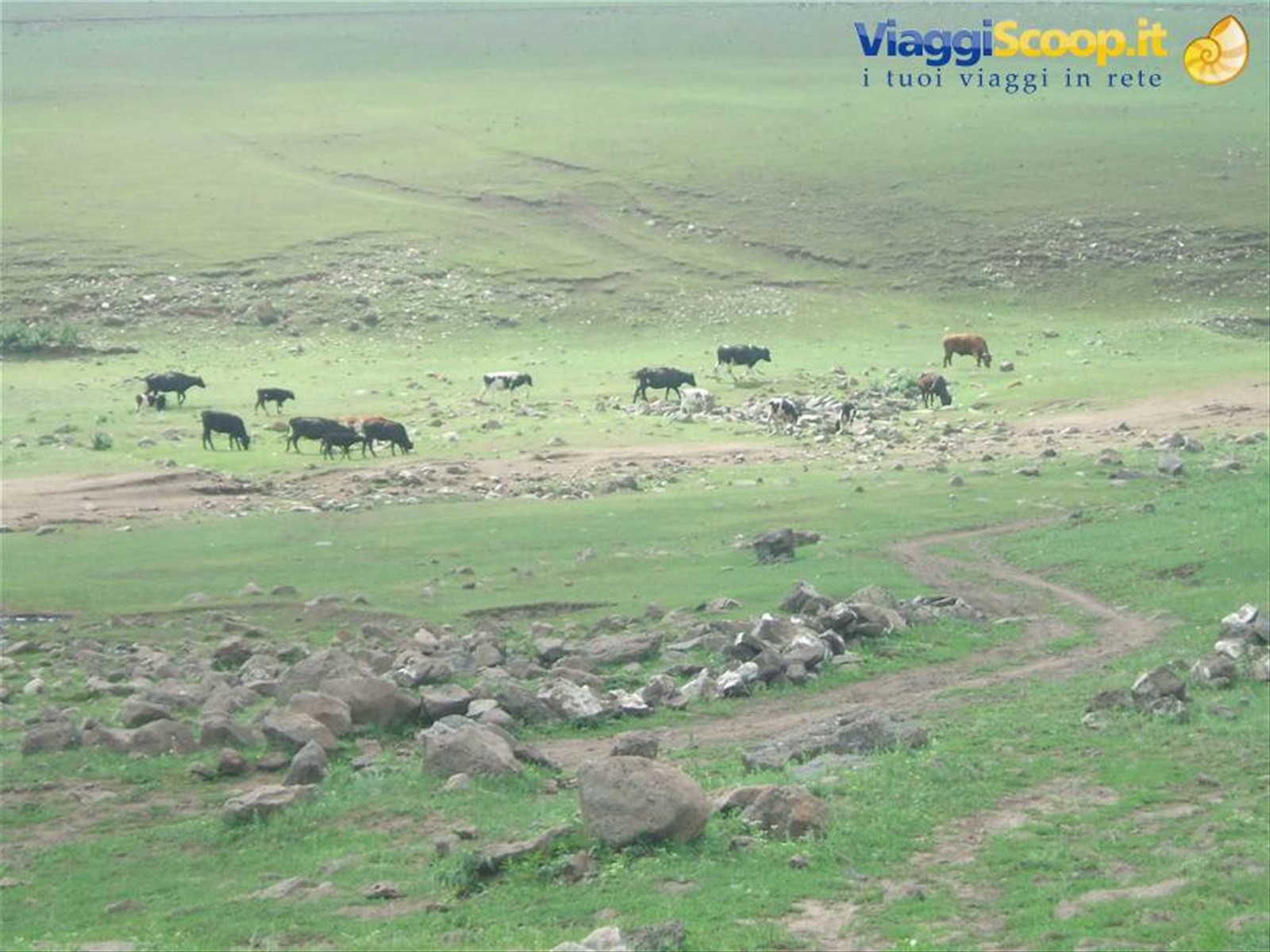 Foto di viaggio in MONGOLIA